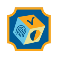 Girl Scout Ambassador Cybersecurity Safeguards Class