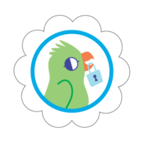 Girl Scout Daisy Cybersecurity Safeguards Class